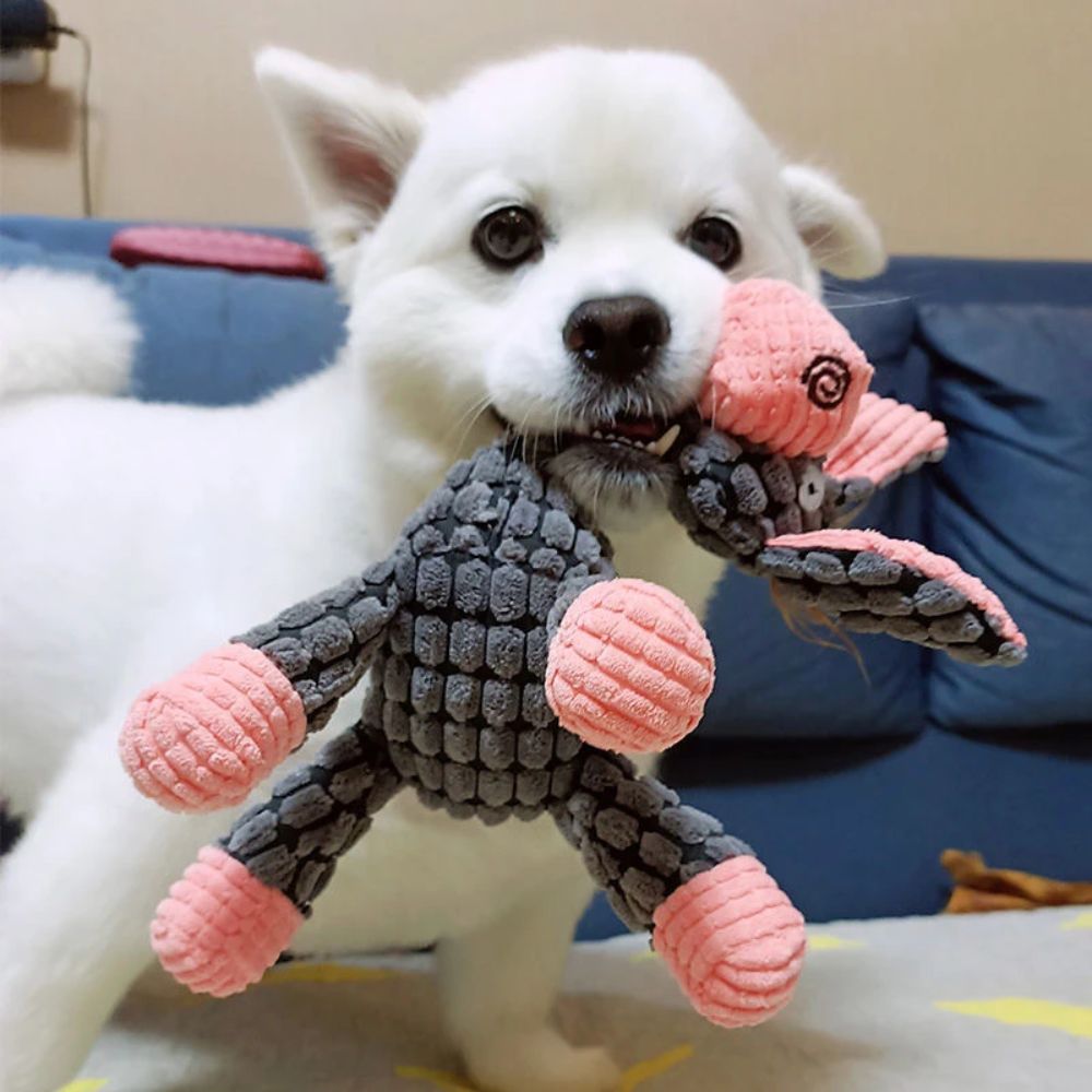 Go Love Chewy Toy - Go Love Pets