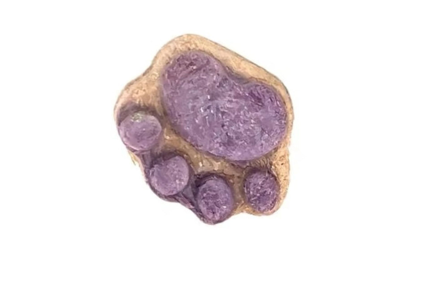 Go Love Paw Shaped Cat Treats