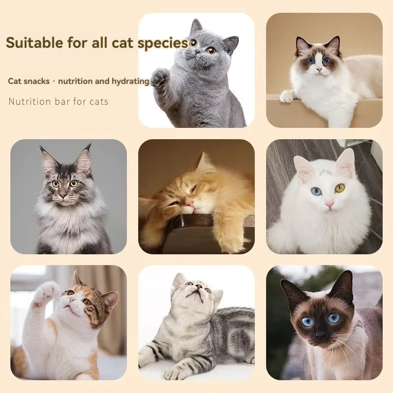 Go Love Cat Snacks