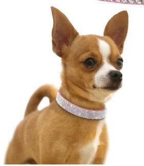 Go Love Crystal Collar - Go Love Pets
