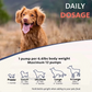 Salmon Oil