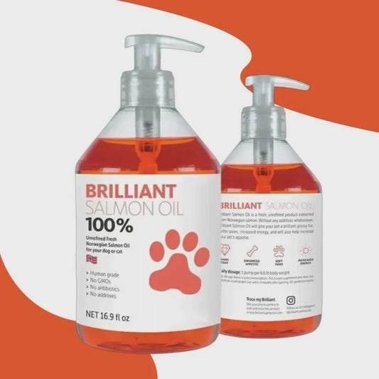 Salmon Oil