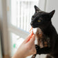 Go Love Cat Snacks
