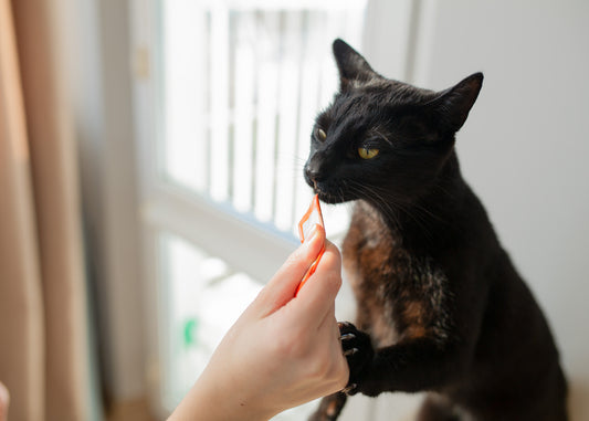 Go Love Cat Snacks